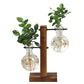 Glass Hydroponic Wooden Base Home Tabletop Terrarium