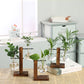 Glass Hydroponic Wooden Base Home Tabletop Terrarium