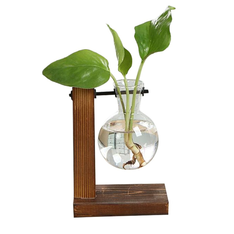 Glass Hydroponic Wooden Base Home Tabletop Terrarium
