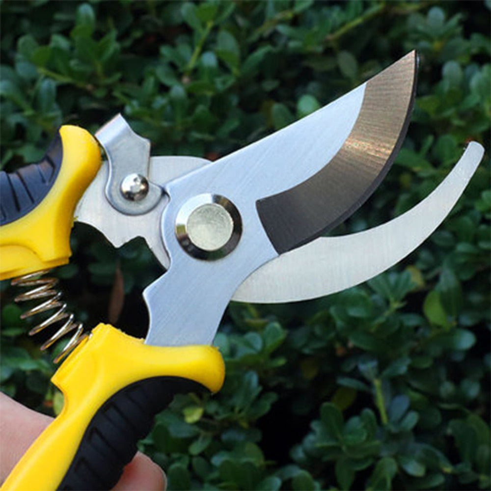 Pruning Garden Shears