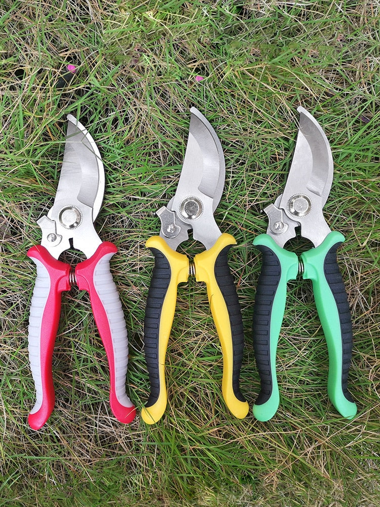 Pruning Garden Shears