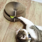 Magic Organ Cat Scratch Board With Ball