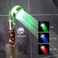 LED Shower Head